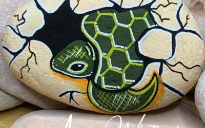 Turtle emerging from it’s egg – Love from Anne