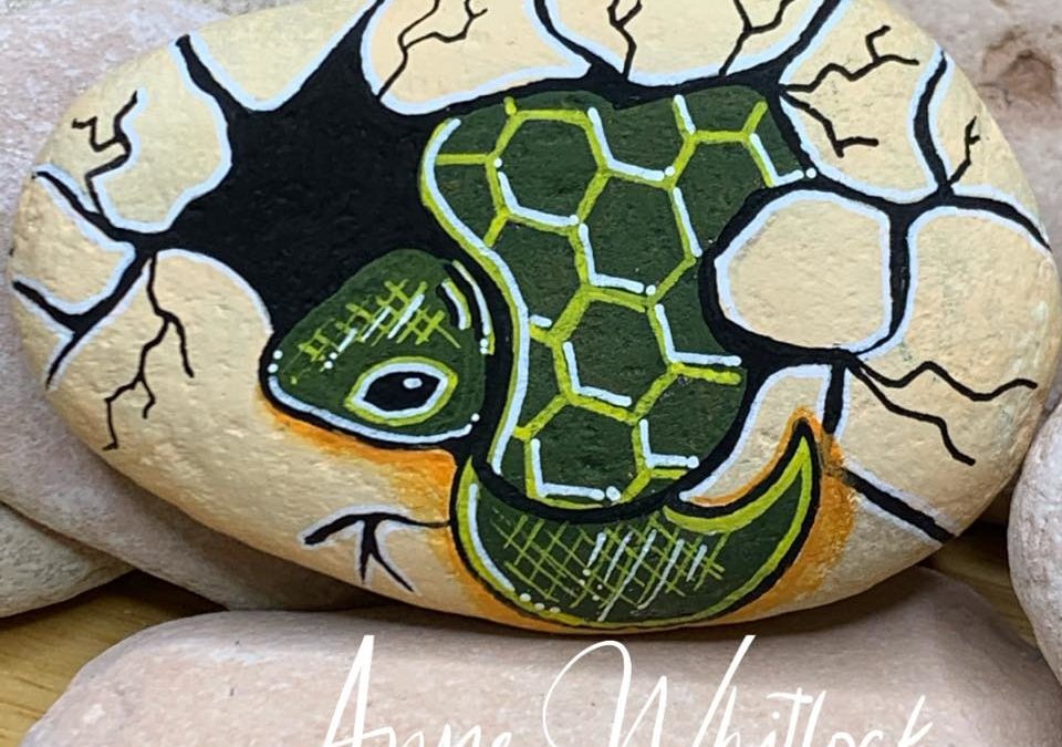 Turtle emerging from it’s egg – Love from Anne