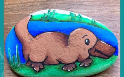 Australian Platypus & Echidna Rock Painting Tutorials