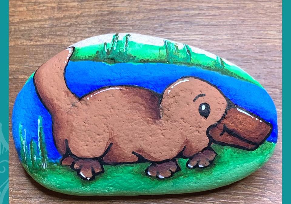 Australian Platypus & Echidna Rock Painting Tutorials