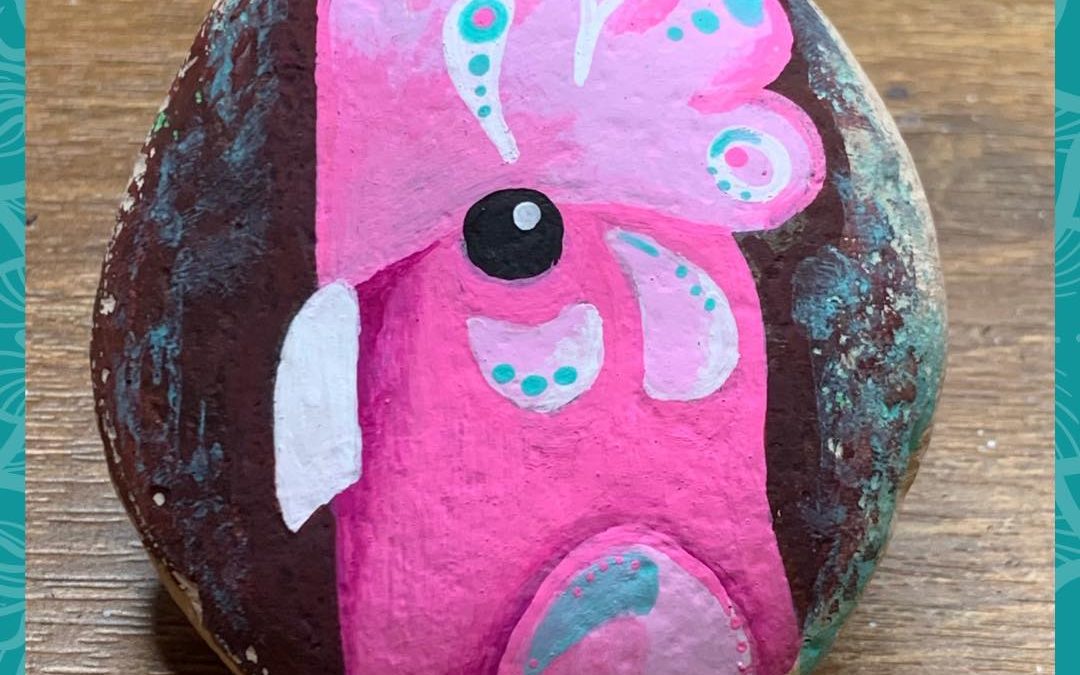 Galah rock painting tutorial