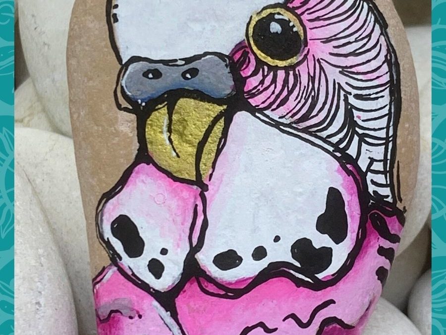 Budgie Pink Bird rock painting Tutorial